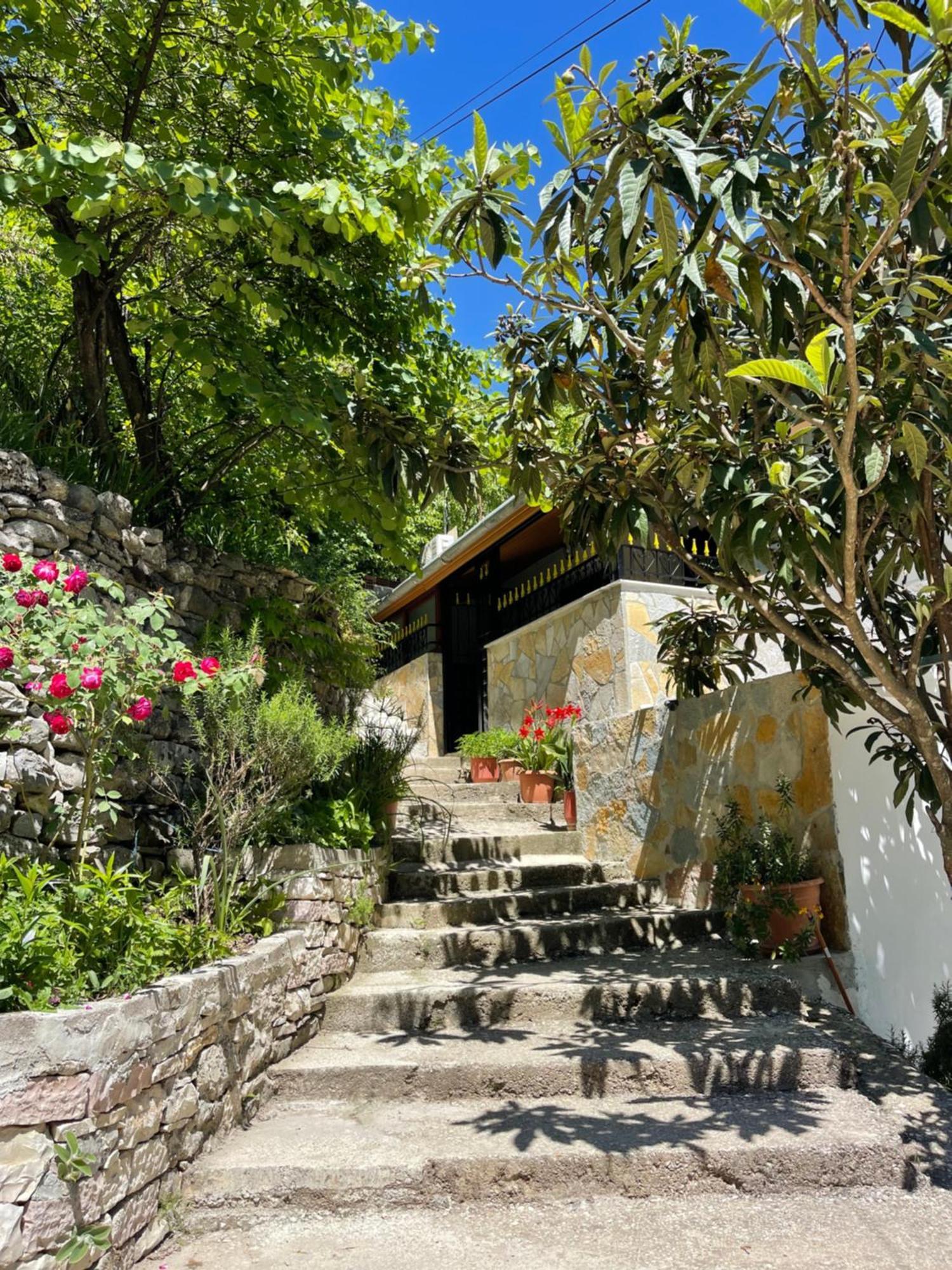 Latifi Guesthouse Gjirokaster Exterior photo
